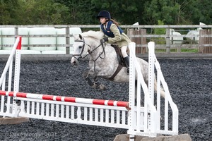 Class 5 - Fences not above 2'6